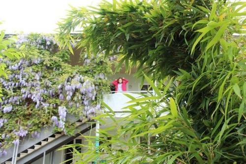 Hostal Guesthouse Natali