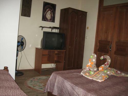 Hostal Guest House Romashka