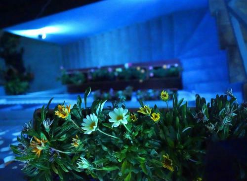 Hostal Guest House Goari