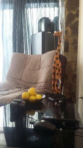 Apartment Miracle