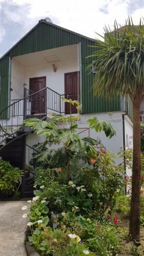 Hostal Guest House Rustaveli