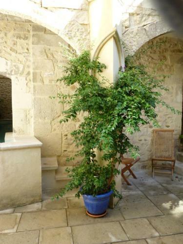 Hostal Hotel Cot� Cour Chambres D'hotes