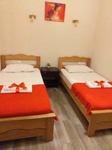Hostal Guest House Lion