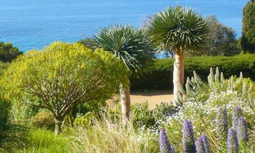 Hotel H�tel Beau Soleil