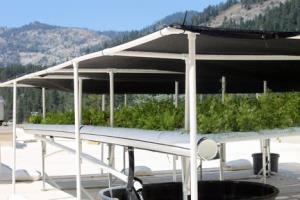 Hotel Resort At Squaw Creek