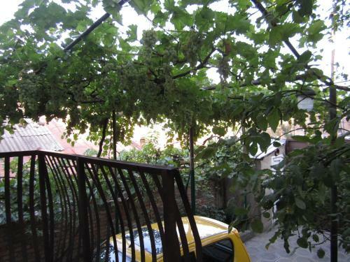 Hostal Best Home Guest House