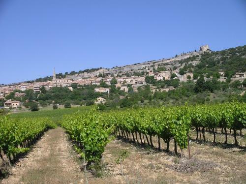 Chambre Du Platane - Bed & Breakfast