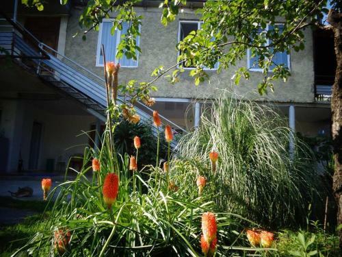Hostal Nikala Guest House