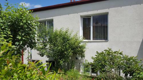 Hostal Guest House Ma-gi