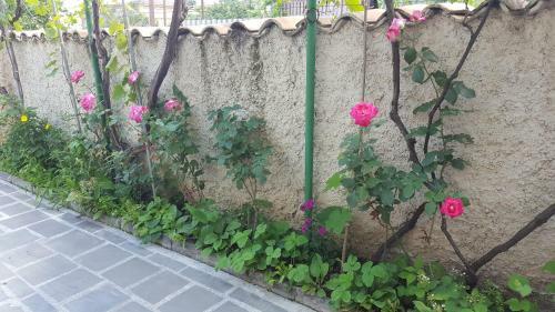 Hostal Guest House Ma-gi