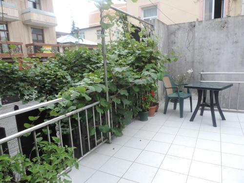 Apartment Mazniashvili 21