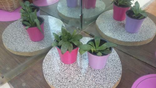 Apartamento Violaceous Rooms
