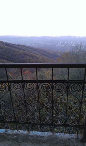 Bed & Breakfast Guest House Shota