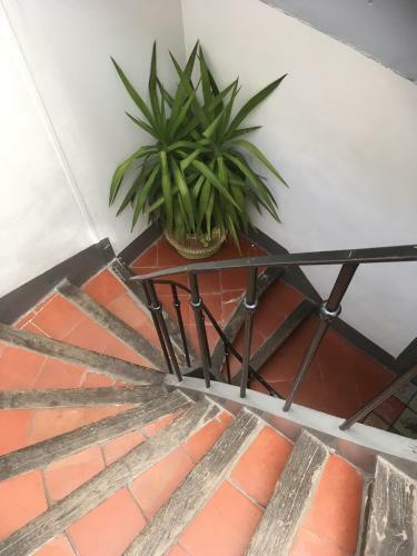 Apartamento Appartement Saint-sauveur