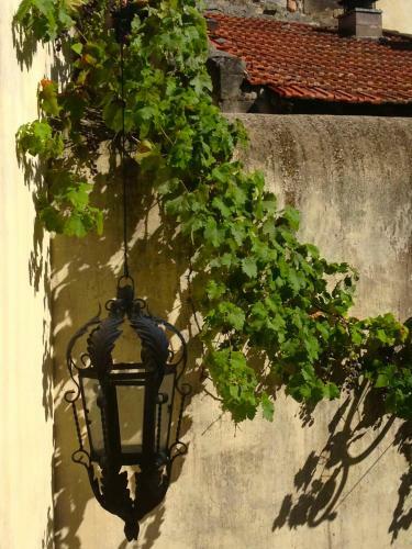 Hostal La Maison D'isidore