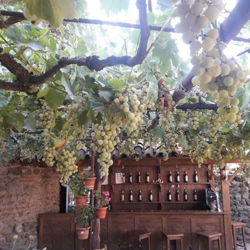 Hostal Guest House Kusika