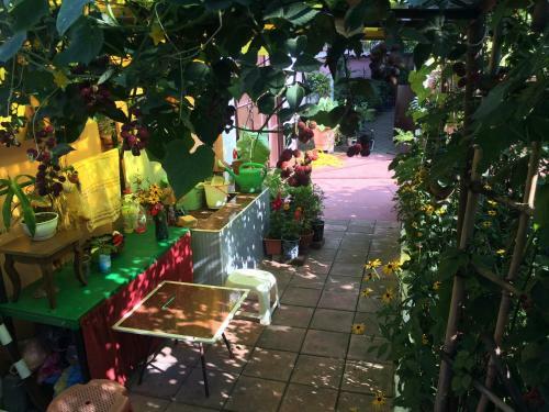 Hostal Guest House Nadejda