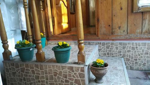 Hostal Guest House Nadejda