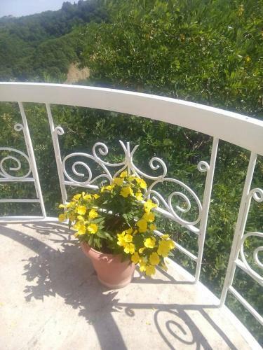 Hostal Guest House Central
