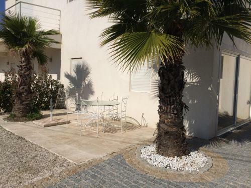 Apartamentos Appartements La Mangouste
