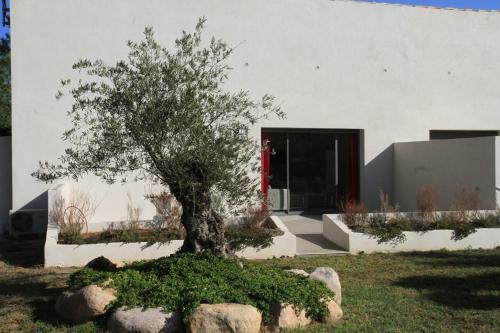 Apartamento R�sidence Isola Hotel