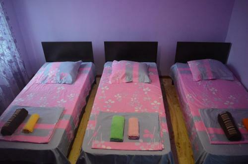 Hostal Shalva Apartment