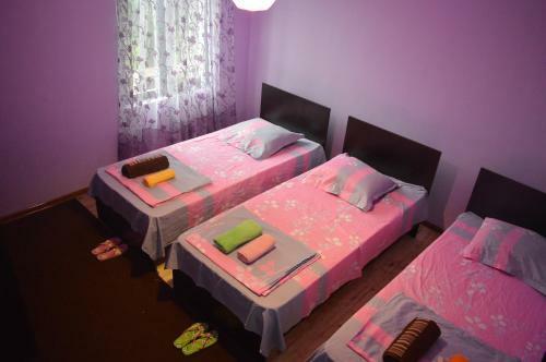 Hostal Shalva Apartment