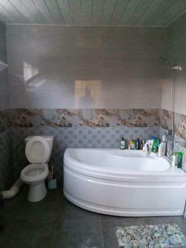 Hostal Shalva Apartment