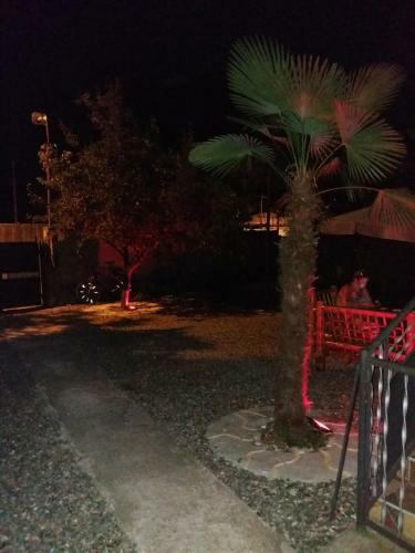 Hostal Shalva Apartment