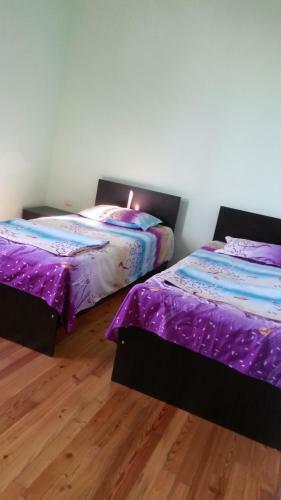 Hostal Shalva Apartment