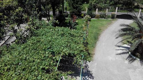 Guest House Avgia