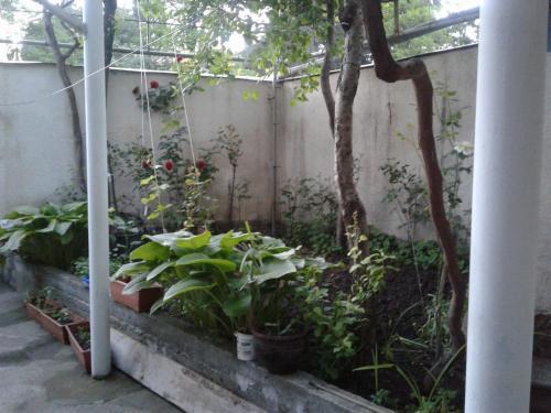Hostal Guest House Tengo