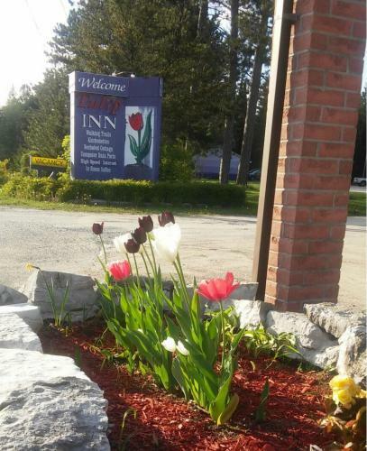 Posada Tulip Inn
