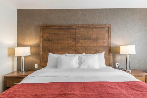 Hotel Comfort Inn - Gander