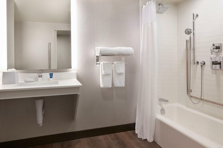 Hotel Holiday Inn Windsor Downtown