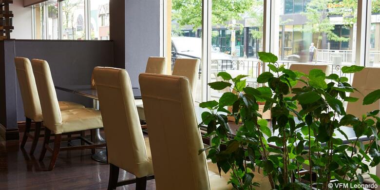 Hotel Holiday Inn Windsor Downtown