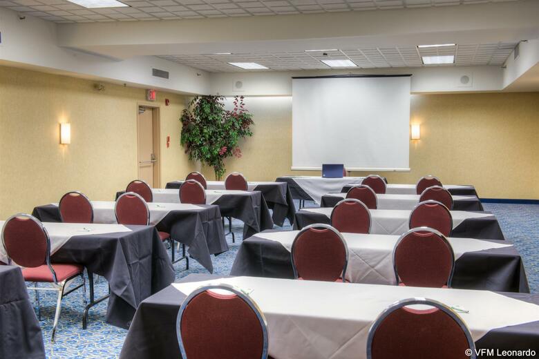 Hotel Holiday Inn Windsor Downtown