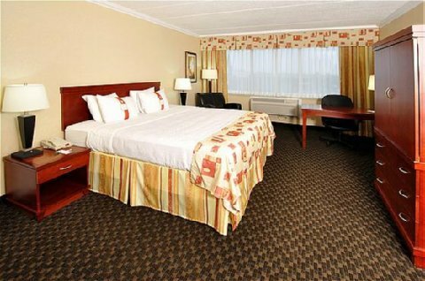 Hotel Holiday Inn Windsor Downtown
