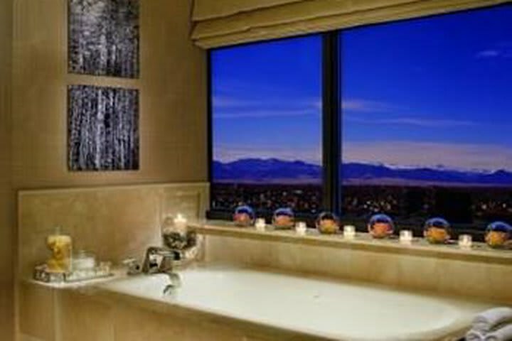 Hotel Ritz Carlton Denver