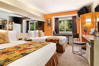 Hotel Microtel Inn & Suites-jacksonville Butler Blvd.
