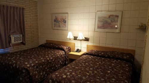 Safari Inn Motel