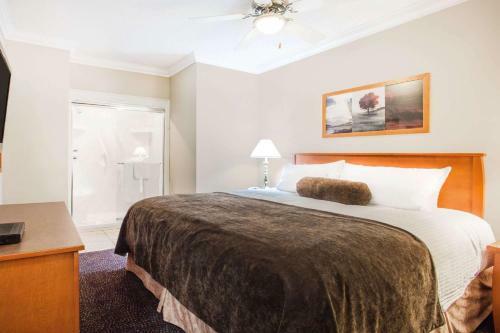 Hotel Super 8 By Wyndham Castlegar Bc