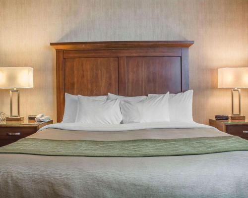 Hotel Comfort Inn Port Hope