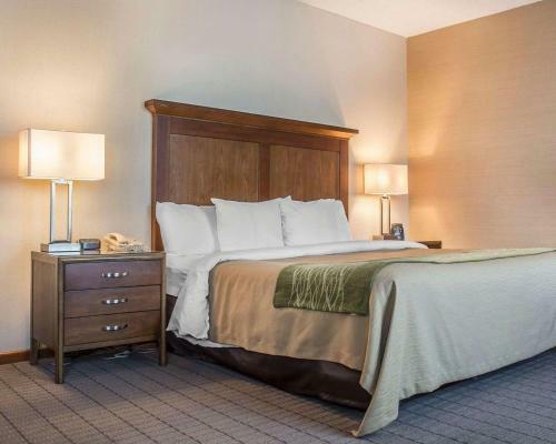 Hotel Comfort Inn Port Hope
