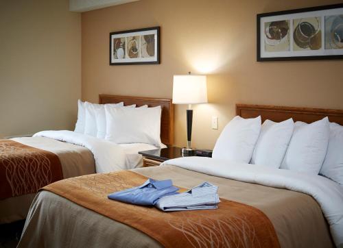 Hotel Comfort Inn Brandon