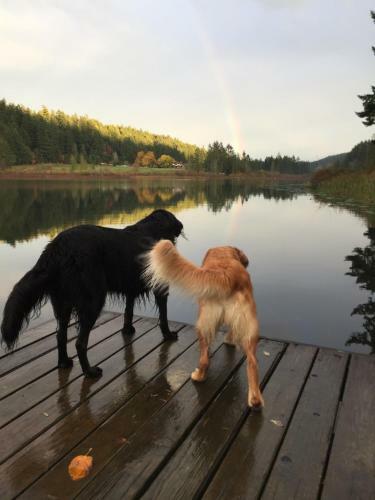 Hotel Cusheon Lake Resort