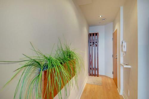Apartamentos Les Immeubles Charlevoix - Le 1155