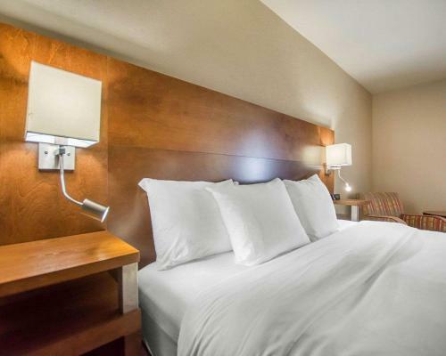 Hotel Comfort Inn Mont Laurier