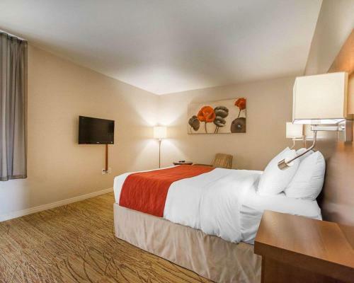 Hotel Comfort Inn Mont Laurier
