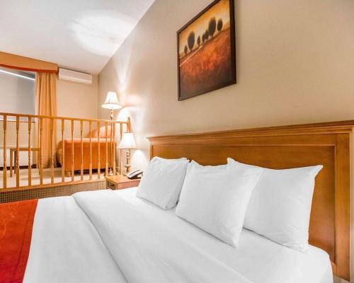 Hotel Comfort Inn Mont Laurier